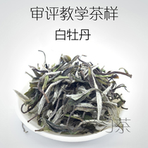 Review Teaching Tea-like White Peony Tea Review Evaluation with White Tea Level 50g
