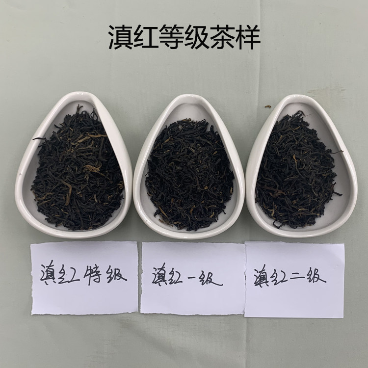 Teaching grade tea-like black tea Yunnan black tea like three grades tea