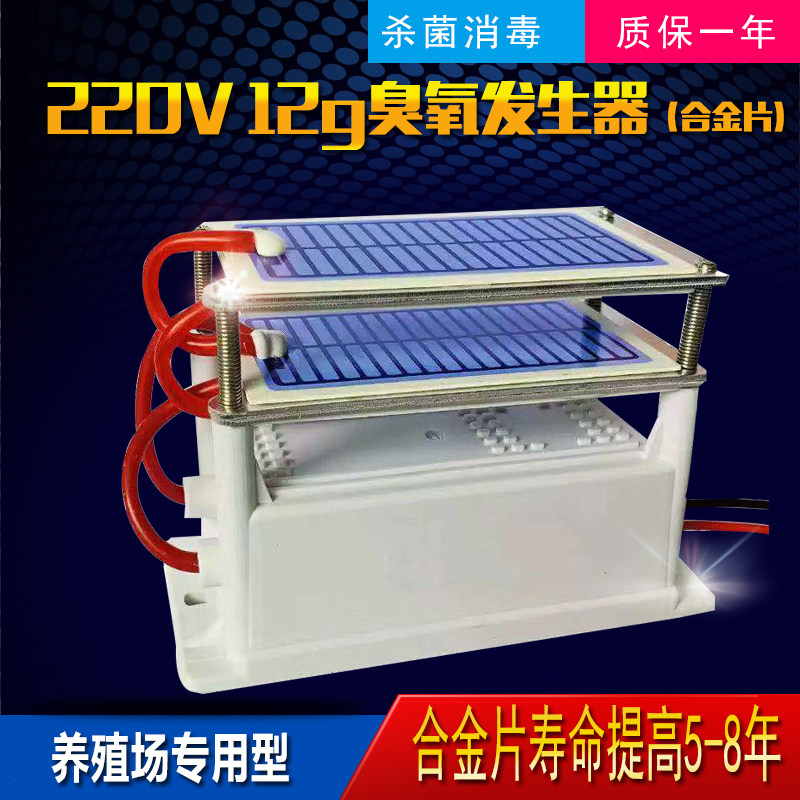 12g OZONE GENERATOR (220v) DEDICATED TYPE OF FARM