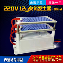12G ozone generator (220V) farm special type
