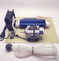 10g 10g ozone generator (water treatment type) electromagnetic air pump