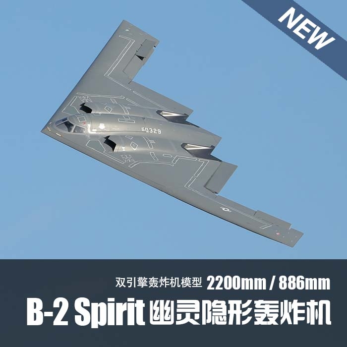 Flying Wing Double 70mm B-2 Electric Ducted Model Aircraft