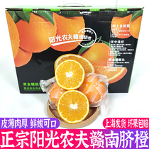 Sunshine Farmer Gannan Navel Orange 17 5 Sweet Orange Ice Sugar Orange Non Farmer Mountain Springs Orange 5kg Gift Boxes Loaded Fresh Navel Orange