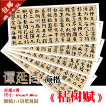 Tan Yanqi Dead tree Fu Yan body regular script full version rice paper 1:1 copy mounted painting heart