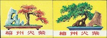 2331 bonsai 84 Meizhou 2*1