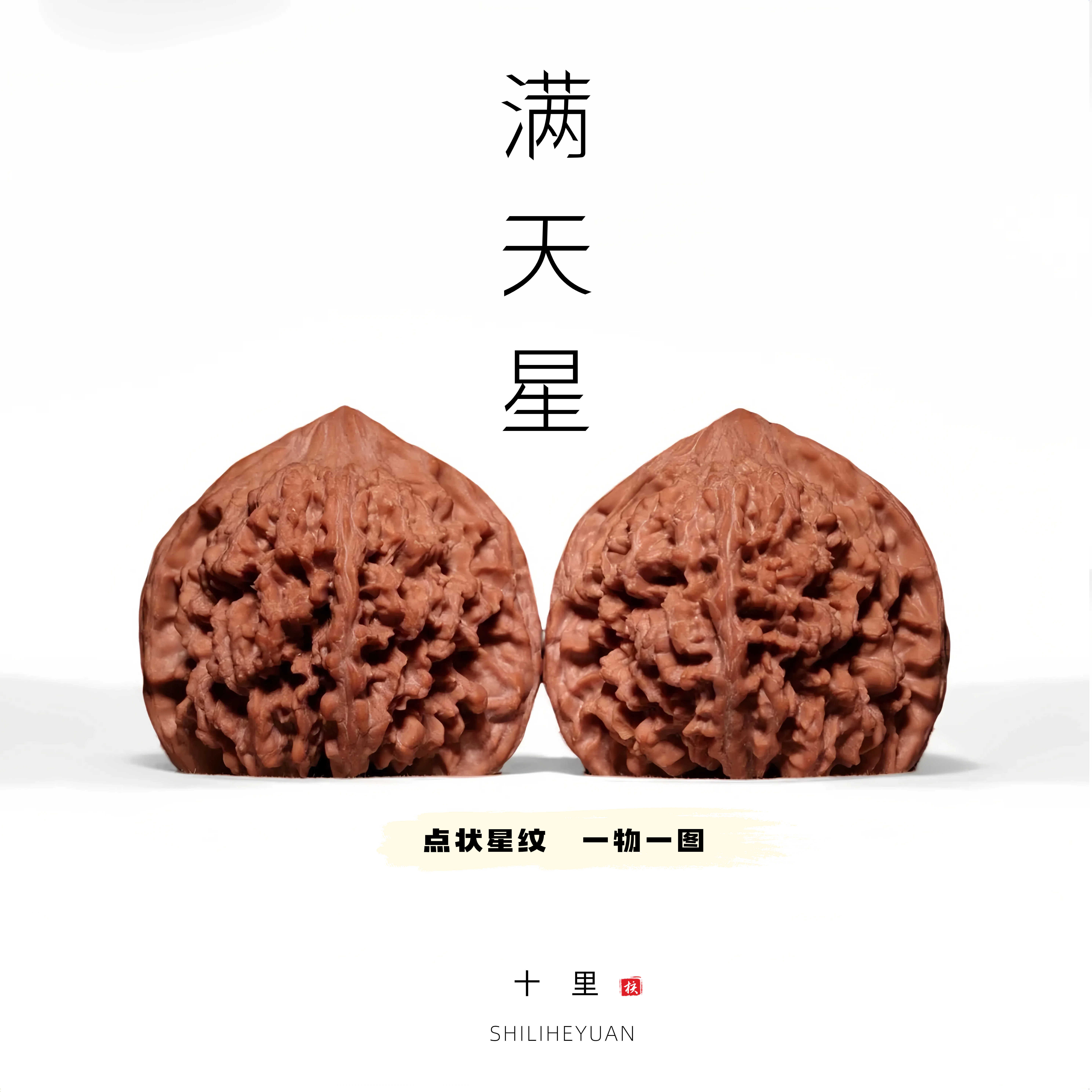 百花山满天星狮子头- Top 100件百花山满天星狮子头- 2026年9月更新