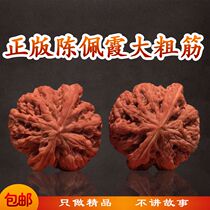 Chen Peixia Big thick tendons Weighing Wen play walnut niche wild hand plate Non-stuffy pointed white lion head Southern Xinjiang stone grinding plate