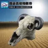 Товары от 肥鱼公社天津水族设备