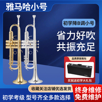 Japanese original Yamaha trumpet YTR-8335GS in B flat for beginners and professional performance