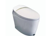 Yoshitozunyue Series integrated smart toilet GP-0728 WL100007028001GP-0729