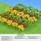 Baihua Zhengyan Series (14 деревьев)
