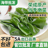 Salted kelp knot whole box commercial wholesale thick fresh kelp buckle Oden hot pot skewers fragrant ingredients catering