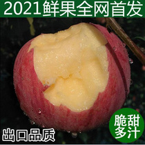 Fresh fruit Apple crystal sugar heart crispy sweet and juicy Shaanxi Xunyi agricultural products Red Fuji Apple 10kg