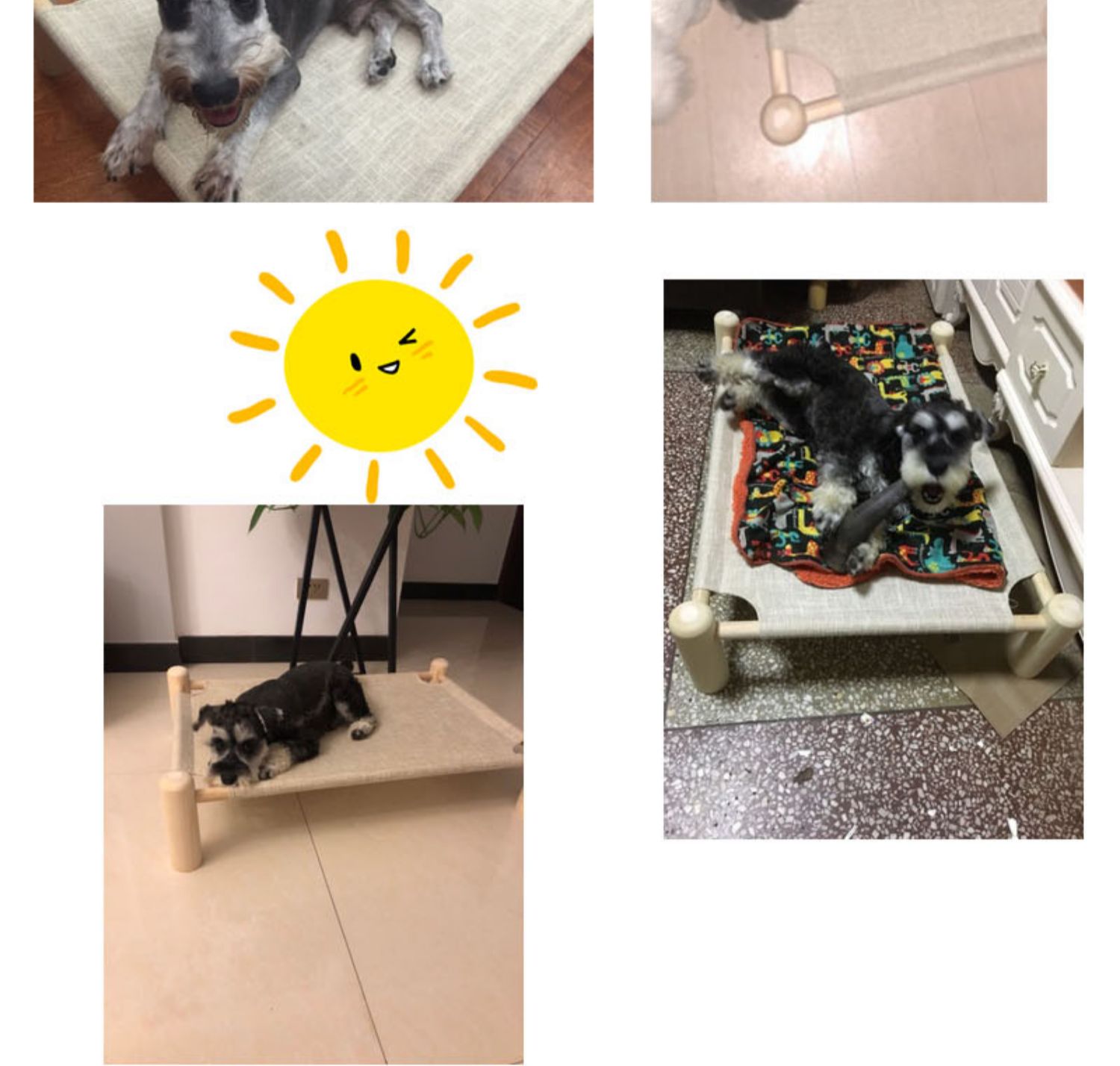 Pet dog cat bed dog bed Teddy kennel ins tổ nhỏ có thể giặt được giường gỗ bốn mùa sofa nhỏ mèo - Cat / Dog hàng ngày Neccessities bát ăn cho chó
