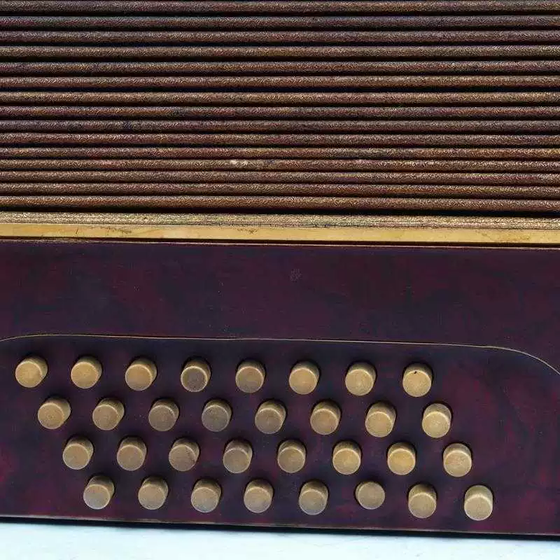 Đồ cổ châu Âu thế kỷ trước và các đồ vật cũ kiểu bàn phím phương Tây kiểu cũ accordion 25 phím 32 bass 8 sản phẩm - Nhạc cụ phương Tây