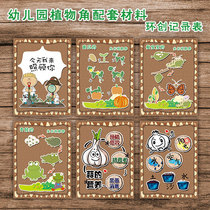 Kindergarten natural angle plant growth helper planting area observation of small animal growth record forest system