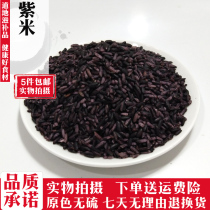 Purple rice 500g grams Yunnan Mojiang Purple rice Black glutinous rice White glutinous rice Five grains Purple glutinous rice 5 pieces