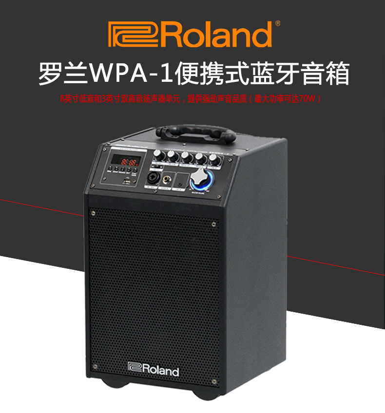 Loa SF Roland Roland Loa Guitar Acoustic WPA-1 Bluetooth Di động Micrô vuông - Loa loa loa soundbar samsung