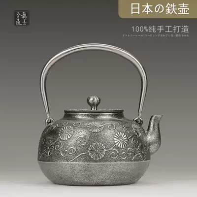 Longshantang iron pot Japanese original cast iron Southern teapot handmade household non-coated kettle
