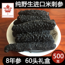  Light dried Turkish rice thorn ginseng Sea raw small sea cucumber dried goods imported from Iceland wild 500g Special price 60 heads in bulk