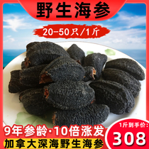Wild Canadian imported sea cucumber dried Arctic Ginseng non-gift boxed 500g light dried Russian special red ginseng