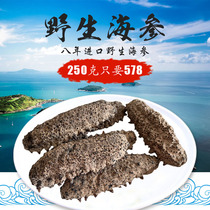  Wild light dried sea cucumber Dry goods South American ginseng sea cucumber sea raw sea cucumber imported from the United States sea seepage 250g Take 2 500g special price