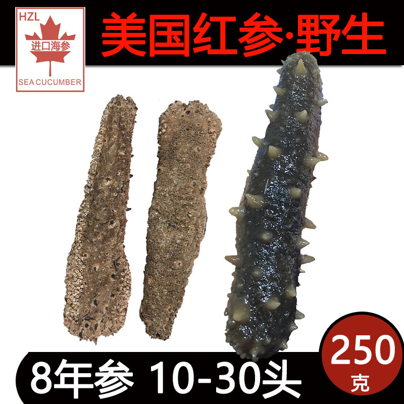 The United States imported wild Alaskan red ginseng deep-sea sea cucumber Arctic cucumber sea cucumber dry goods 250g light dry sea seepage