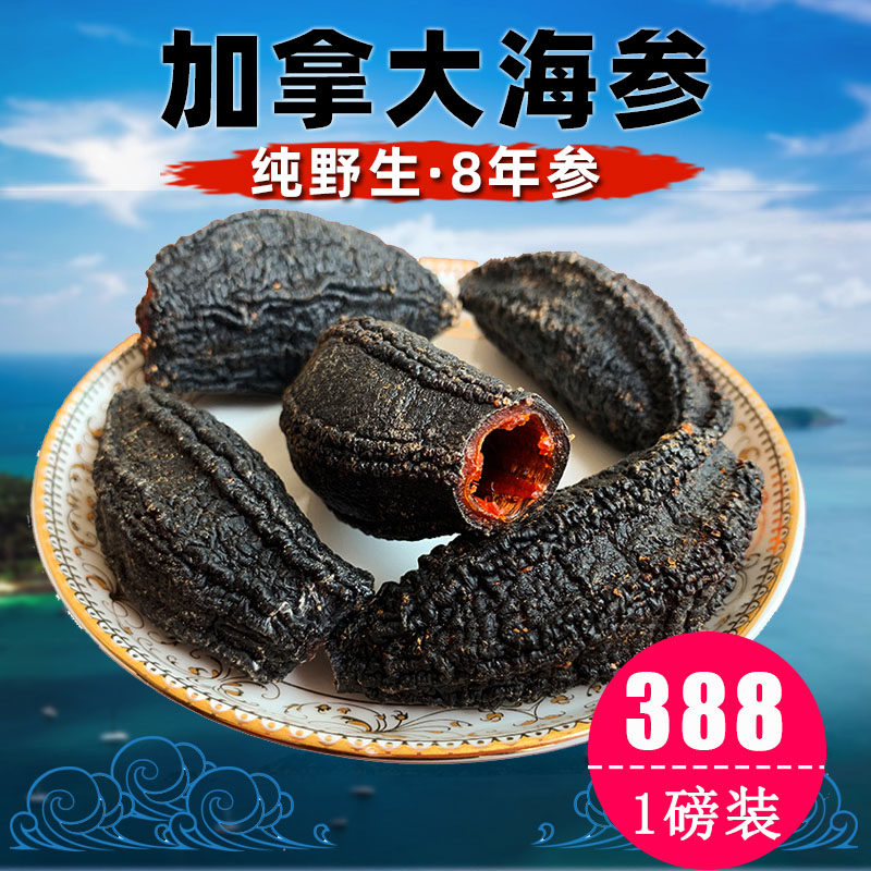 Canadian sea cucumbers Arctic ginseng imports sea cucumbers dry goods Heisei red polar ginseng wild 454 gr cylinder light dried sea cucumbers