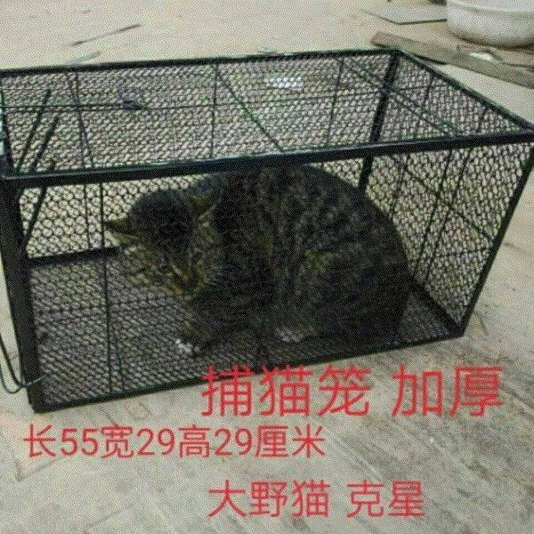 Pet retrieval cat cage Household cat trap artifact Cat trap Cat trap