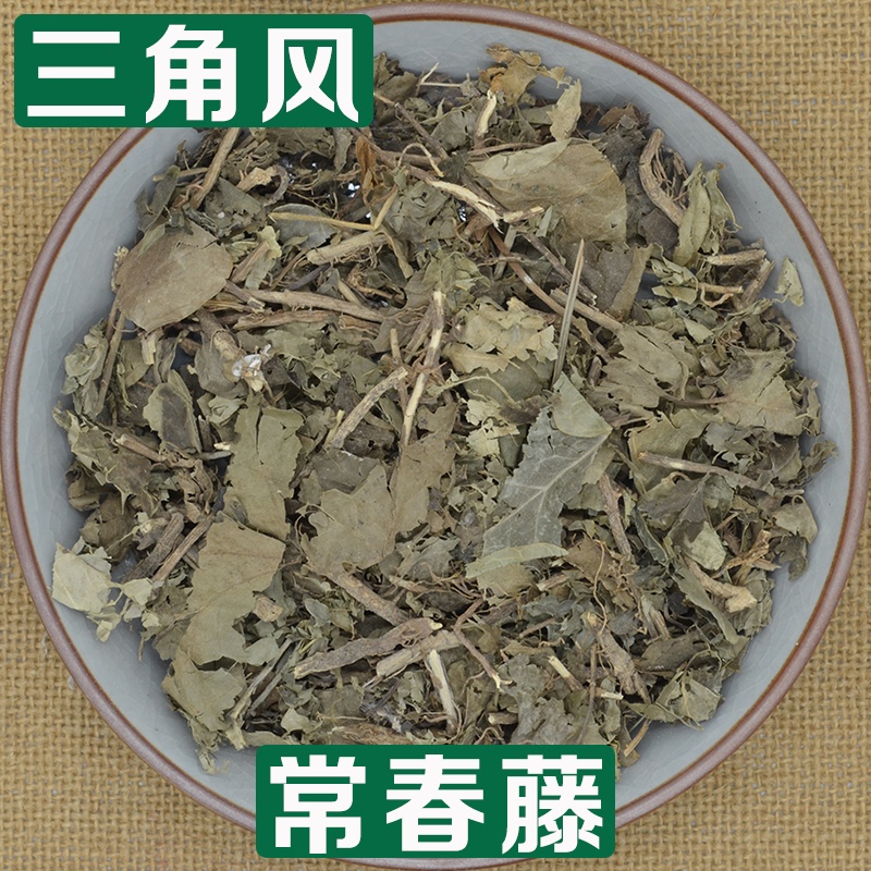 250 Grams of Medicinal Herb Sanjiaofeng (Triangle Maple, Drilling Sky Wind, Earth Drum Vine, Triangle Point Ivy) Is Produced in Sichuan 250 Grams of Medicinal Herb Sanjiaofeng (Triangle Maple, Drilling Sky Wind, Earth Drum Vine, Triangle Point Ivy) Is Produced in Sichuan