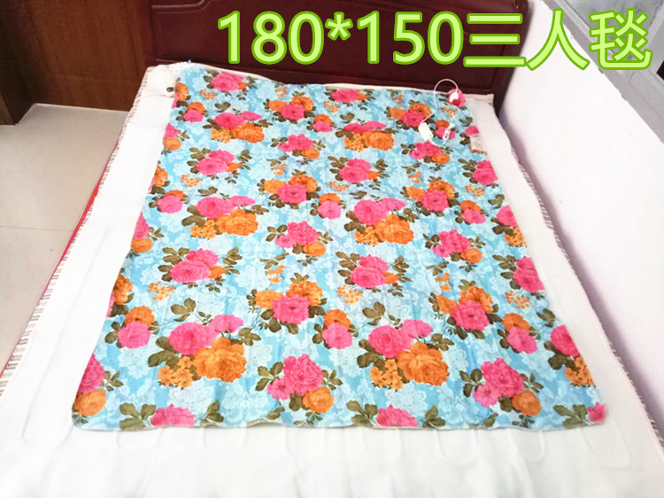 Mới chăn điện nệm điện ống nước ống nước chăn nước chăn không có bức xạ số lẻ và chẵn ba ghế sofa đệm vận chuyển - Chăn điện Cao