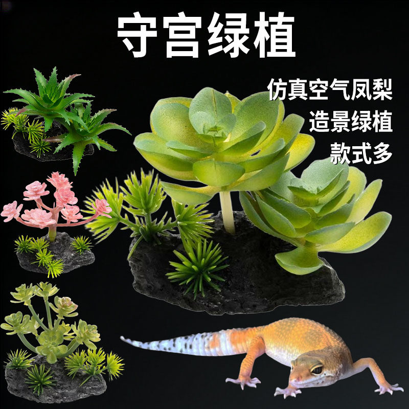 🎉蜥蜴造景必备🌟 | 守宫绿植空气凤梨多肉仿真植物 | 爬宠箱必备🌿-爬宠躲避-淘宝好物网