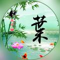菊之葉日淘馆