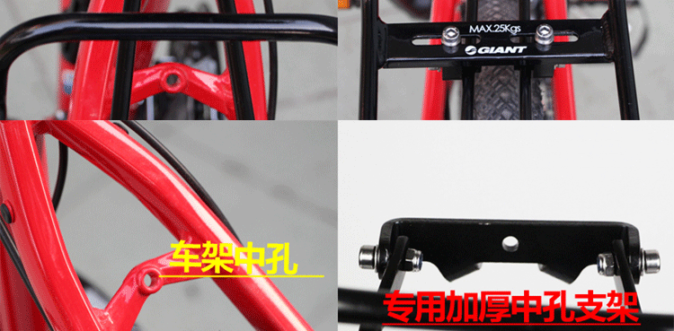 Porte-bagages pour vélo GIANT - Ref 2409367 Image 35