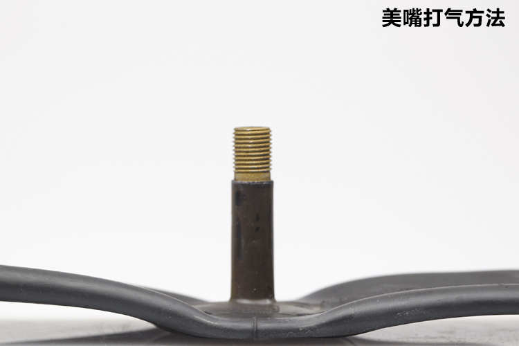 Pompe à vélo GIANT - Ref 2388265 Image 35