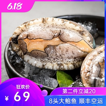  Extra large 8 head abalone fresh abalone fresh seafood aquatic products frozen Buddha jumping over the wall heated instant abalone Extra large pot dish