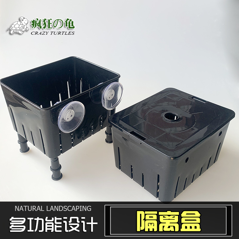Crazy Turtle Turtle Isolation Box Hatching Box Mini Turtle Tank Water Turtle Egg Turtle Small Fish Fry Feeding Hair Color Box