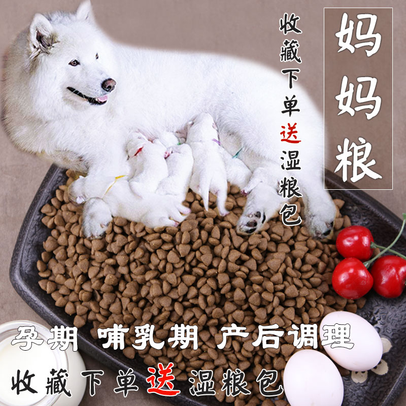 During pregnancy breastfeeding during pregnancy Gold Mao Teddy universal dog food