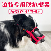 Muselière spéciale pour chiens border collie masque pour animaux de compagnie anti-morsure anti-manger aboiement protège-dents protège-dents buvable pour grands chiens