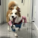 Забавная одежда для домашних собак, трансформационный костюм с ножом на Хэллоуин, бордер-колли, золотистый ретривер, большой щенок лабрадора