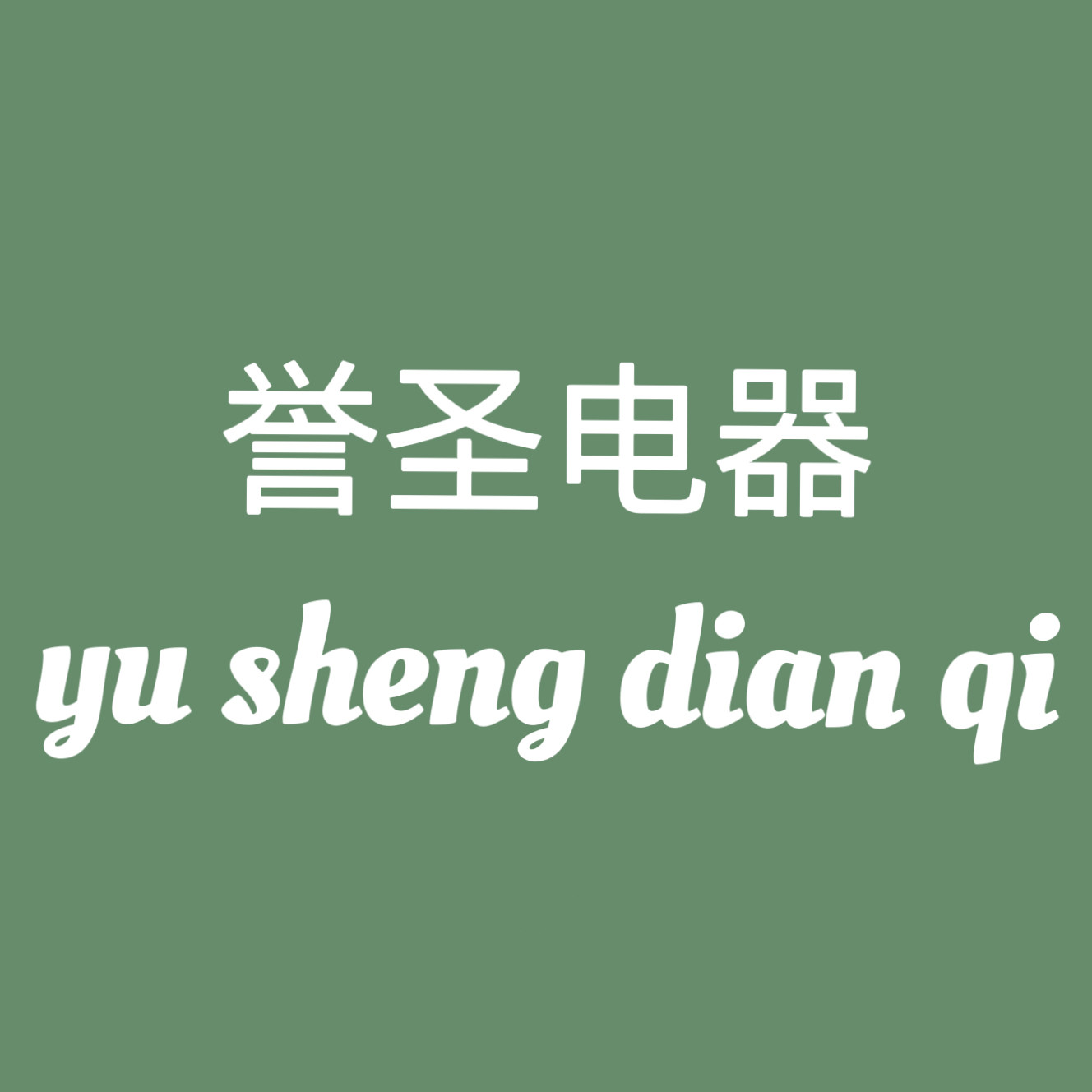 誉圣电器工厂店