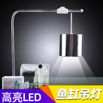 Fish cylinder LED full spectrum lamp professional landscape lighting chandelier small drum lamp lamp lamp lamp waterproof