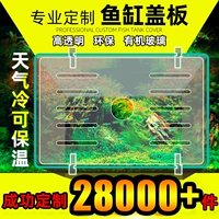 Акриловый прозрачный натуральный стеклянный аквариум, делается под заказ