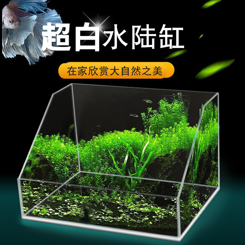 Ultra-white water land fish tank Plant landscape tank Micro-landscape oblique mouth landscape tank Turtle tank Amphibious ecological tank Rainforest tank