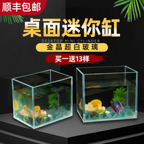 Jinjing super white fish tank living room small bucket aquarium ecological tank grass tank mini landscape tank desktop