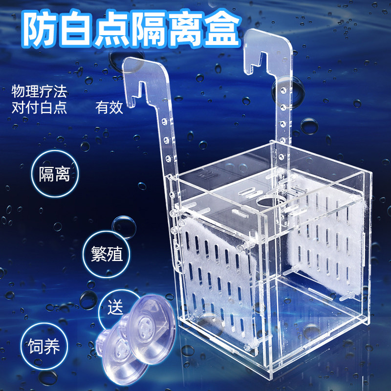 Fish Fish Stocked Anti-White Dot Isolation Case QUARANTINE case Acrylic Fish Tank Isolation Case White Spot Disease