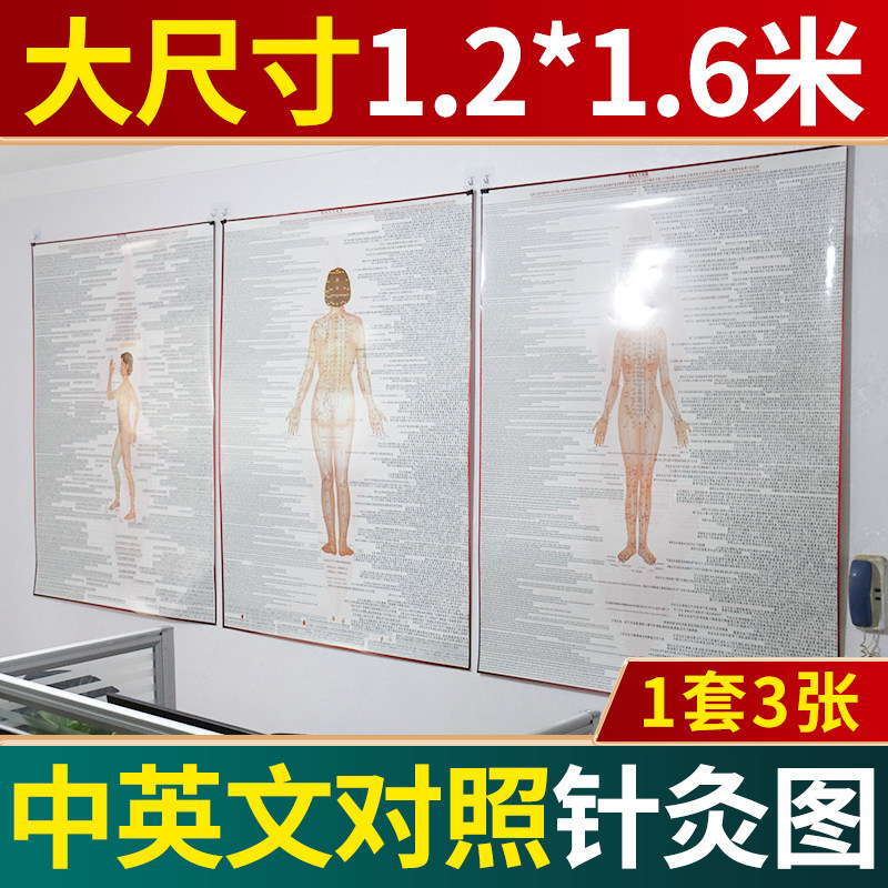 人体经络穴位图大挂图全身高清穴位中医艾灸推拿按摩针灸家用海报