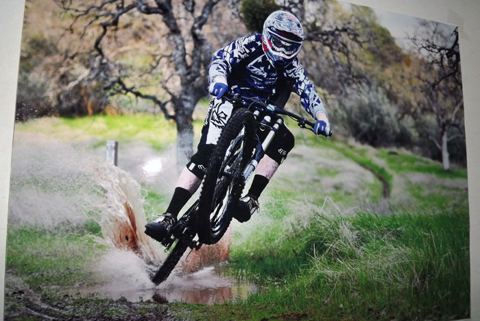 Sticker pour vélos - Ref 2276227 Image 4