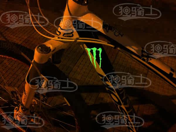 Décoration pour vélo - Ref 2281465 Image 9