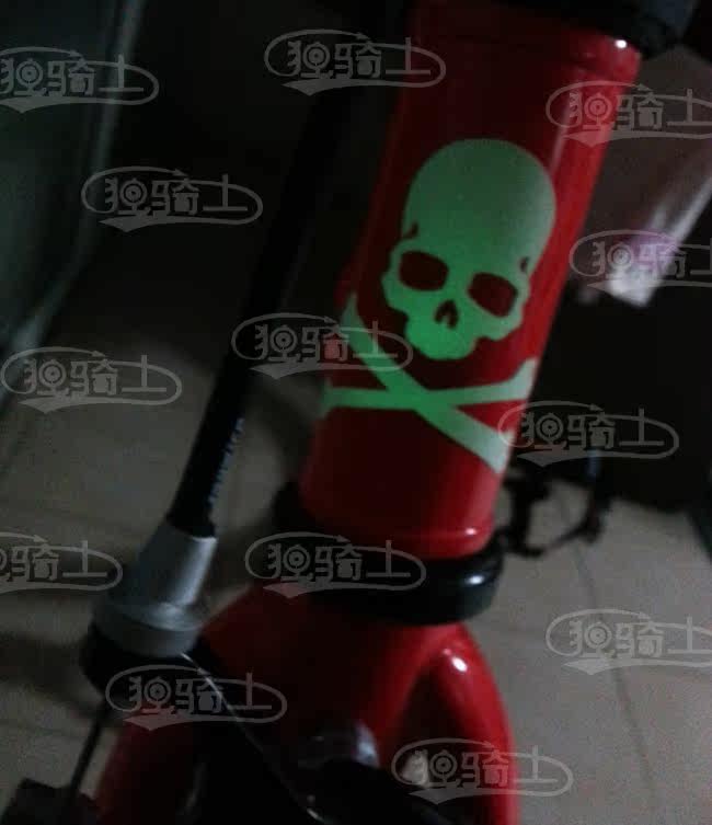 Décoration pour vélo - Ref 2281844 Image 9